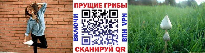 Псилоцибиновые грибы Psilocybine cubensis Рыбное