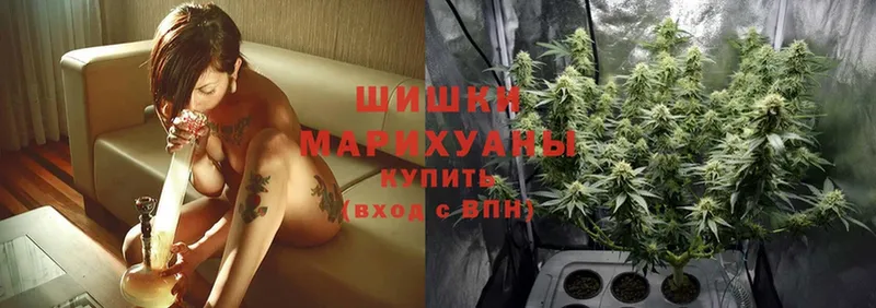 Шишки марихуана SATIVA & INDICA  Рыбное 